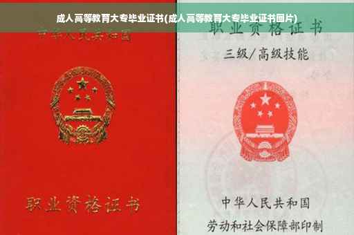 成人高等教育大专毕业证书(成人高等教育大专毕业证书图片)