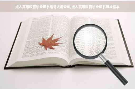 成人高等教育毕业证书编号去哪查询,成人高等教育毕业证书图片样本
