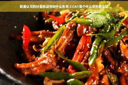 欧美认可的计算机证书叫什么名字,CCAT是个什么级别的认证