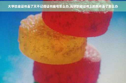 大学毕业证书丢了又不记得证书编号怎么办,高级职称证书上的照片丢了怎么办