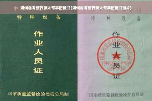 如何自考营养师大专学历证书(如何自考营养师大专学历证书图片)