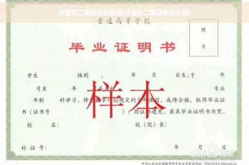 计算机二级证书张雪峰(计算机二级证张什么样)