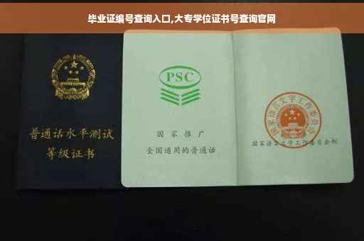 毕业证编号查询入口,大专学位证书号查询官网