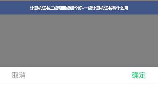 计算机证书二级和四级哪个好-一级计算机证书有什么用