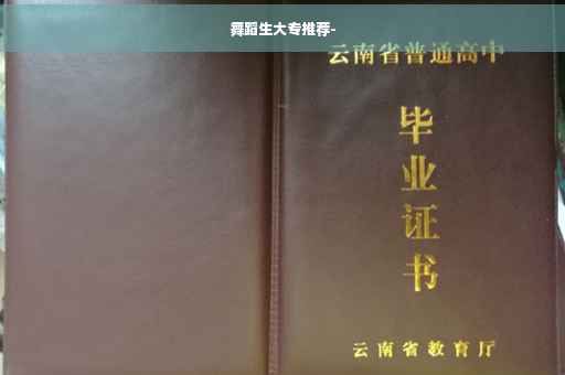 舞蹈生大专推荐-