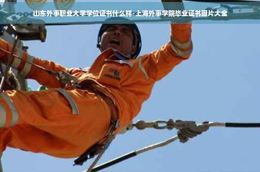 山东外事职业大学学位证书什么样-上海外事学院毕业证书图片大全