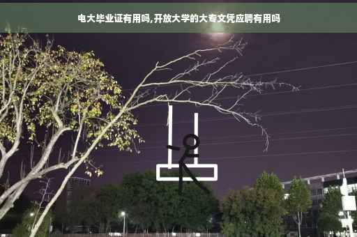 电大毕业证有用吗,开放大学的大专文凭应聘有用吗