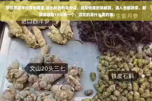 毕节思源学校招生简章,派出所办的身份证，说是快递到镇邮政，请人去邮政拿，邮政要收取15元钱一个，这交的是什么费的钱
