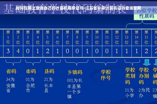 如何在网上查询自己的计算机等级证书-江苏省中级计算机证书查询官网