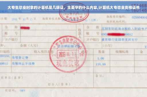 大专生毕业时拿的计算机是几级证，主要学的什么内容,计算机大专毕业资格证书
