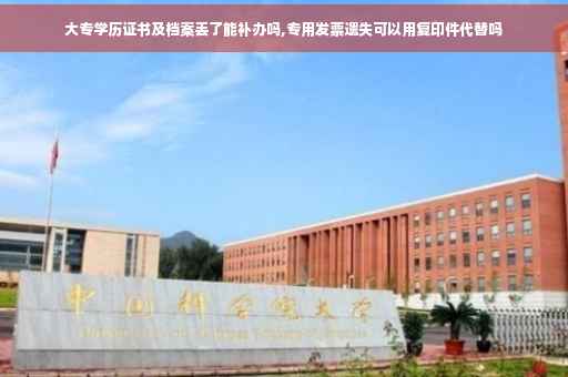 大专学历证书及档案丢了能补办吗,专用发票遗失可以用复印件代替吗