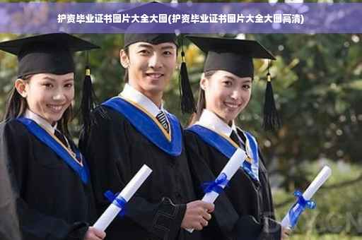 护资毕业证书图片大全大图(护资毕业证书图片大全大图高清)