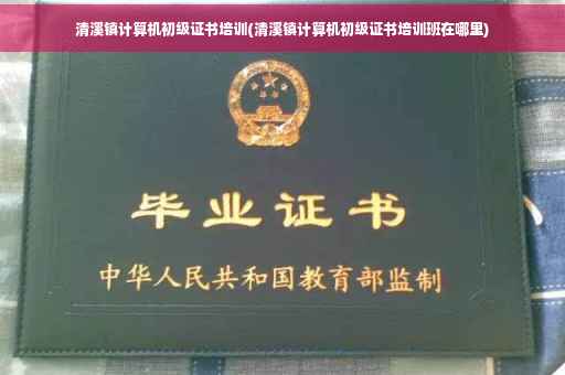清溪镇计算机初级证书培训(清溪镇计算机初级证书培训班在哪里)