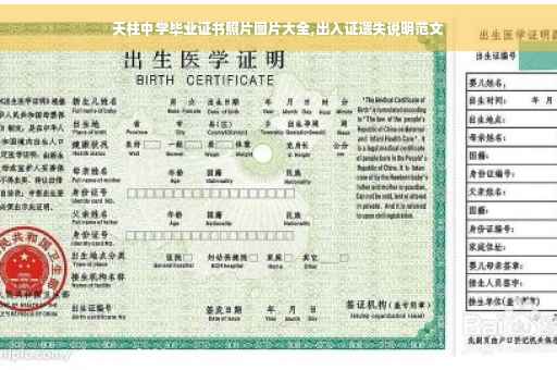 天柱中学毕业证书照片图片大全,出入证遗失说明范文