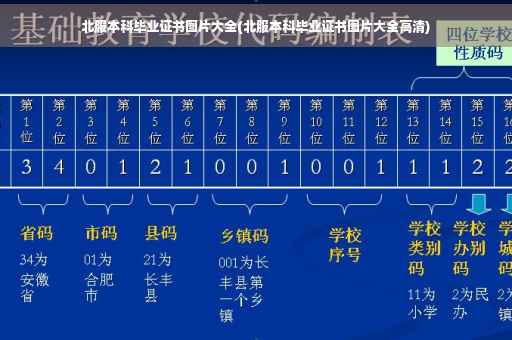 北服本科毕业证书图片大全(北服本科毕业证书图片大全高清)