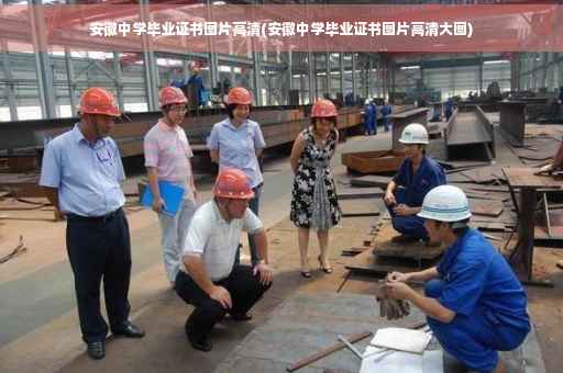 安徽中学毕业证书图片高清(安徽中学毕业证书图片高清大图)