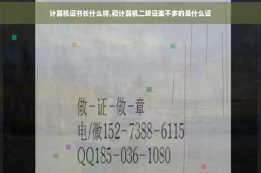 计算机证书长什么样,和计算机二级证差不多的是什么证