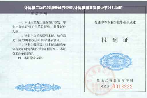 计算机二级包含哪些证书类型,计算机职业资格证书分几级的