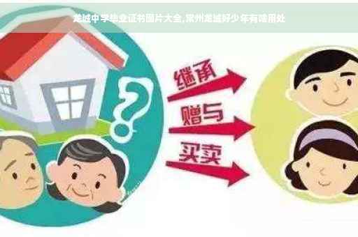 龙城中学毕业证书图片大全,常州龙城好少年有啥用处