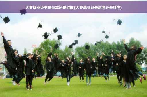 大专毕业证书是蓝本还是红底(大专毕业证是蓝底还是红底) 大专毕业证书是蓝本还是红底(大专毕业证是蓝底还是红底)