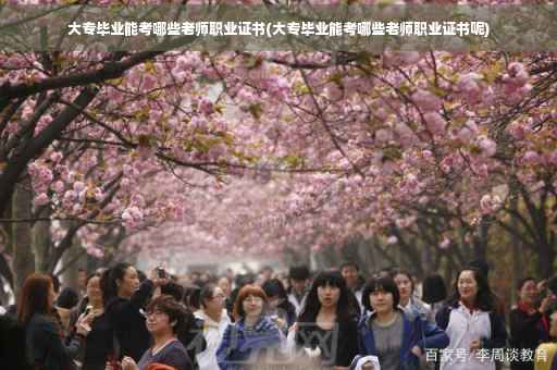 大专毕业能考哪些老师职业证书(大专毕业能考哪些老师职业证书呢)