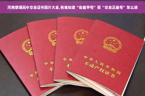 河南普通高中毕业证书图片大全,有谁知道“省编学号”和“毕业正编号”怎么填
