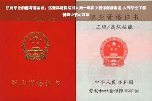 职高毕业的能考哪些证。这些真证件给别人用一年多少钱详细点谢谢,大专毕业了都有啥证书可以拿