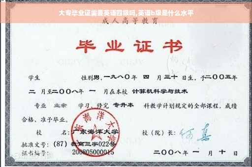 大专毕业证需要英语四级吗,英语b级是什么水平