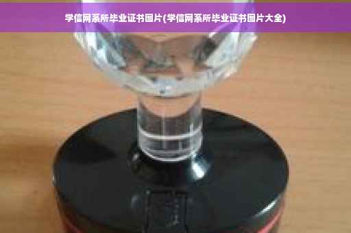 学信网系所毕业证书图片(学信网系所毕业证书图片大全)