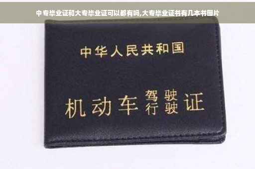 中专毕业证和大专毕业证可以都有吗,大专毕业证书有几本书图片