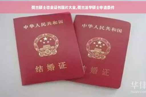 荷兰硕士毕业证书图片大全,荷兰法学硕士申请条件