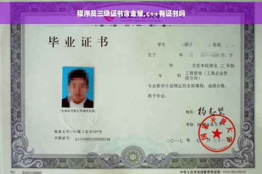 程序员三级证书含金量,c++有证书吗