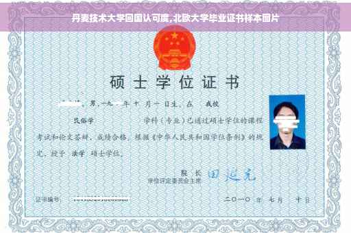 丹麦技术大学回国认可度,北欧大学毕业证书样本图片