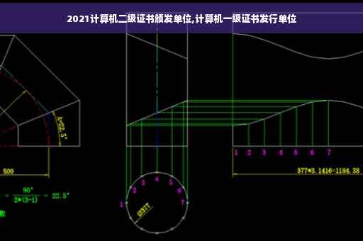 2021计算机二级证书颁发单位,计算机一级证书发行单位