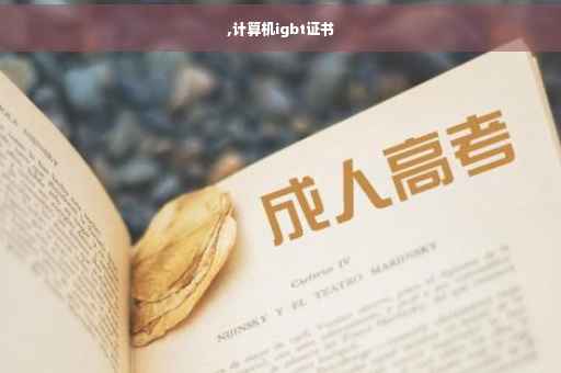 ,计算机igbt证书