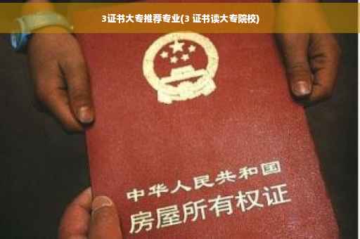 3证书大专推荐专业(3 证书读大专院校)