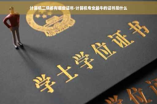 计算机二级都有哪些证书-计算机专业最牛的证书是什么