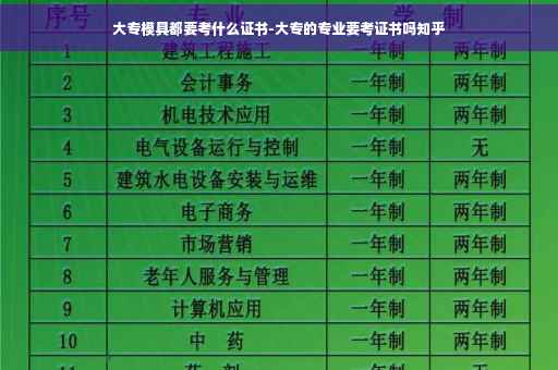 大专模具都要考什么证书-大专的专业要考证书吗知乎