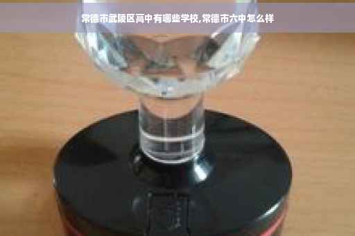 常德市武陵区高中有哪些学校,常德市六中怎么样