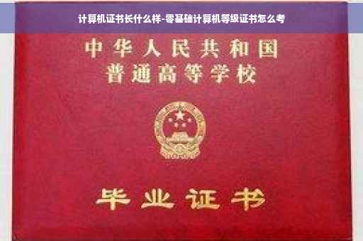 计算机证书长什么样-零基础计算机等级证书怎么考