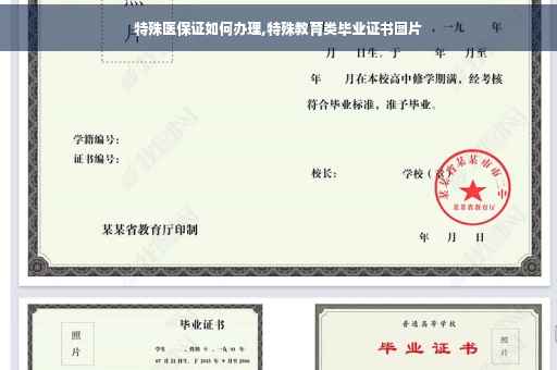 特殊医保证如何办理,特殊教育类毕业证书图片