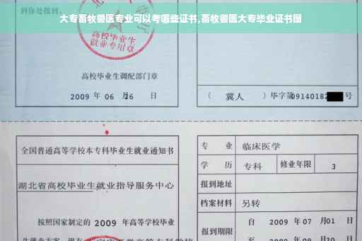 大专畜牧兽医专业可以考哪些证书,畜牧兽医大专毕业证书图