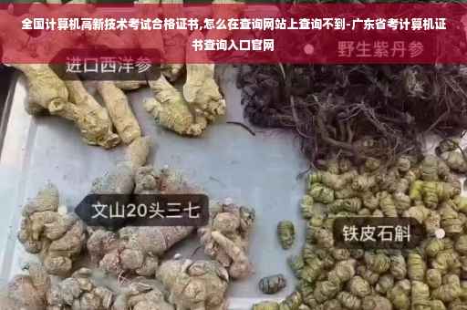 全国计算机高新技术考试合格证书,怎么在查询网站上查询不到-广东省考计算机证书查询入口官网