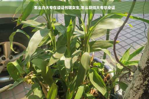 怎么办大专在读证书呢女生,怎么获得大专毕业证