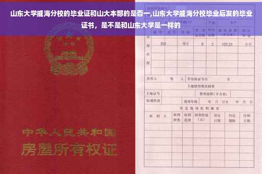 山东大学威海分校的毕业证和山大本部的是否一,山东大学威海分校毕业后发的毕业证书，是不是和山东大学是一样的
