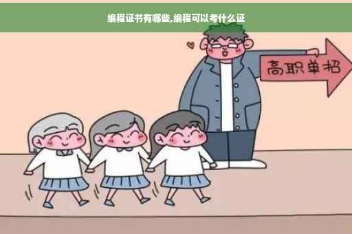 编程证书有哪些,编程可以考什么证