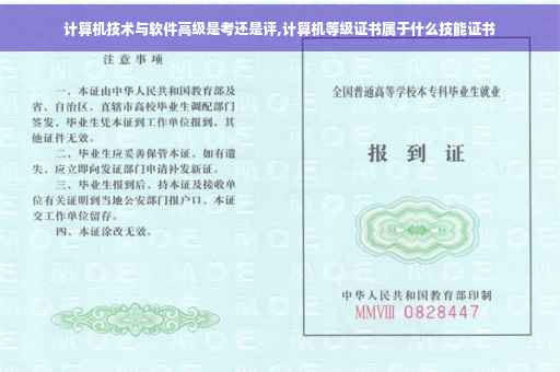 计算机技术与软件高级是考还是评,计算机等级证书属于什么技能证书