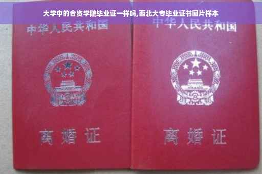 大学中的合资学院毕业证一样吗,西北大专毕业证书图片样本
