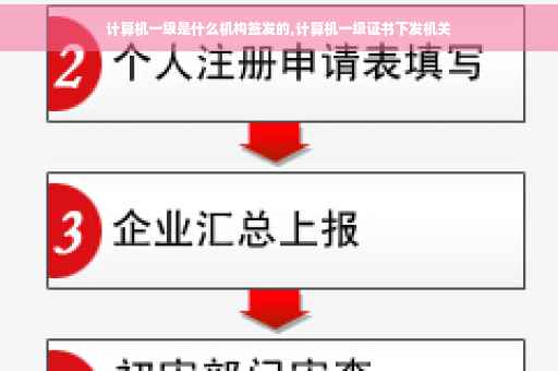 计算机一级是什么机构签发的,计算机一级证书下发机关