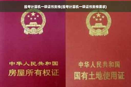 报考计算机一级证书资格(报考计算机一级证书资格要求)